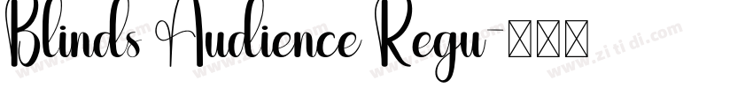 Blinds Audience Regu字体转换